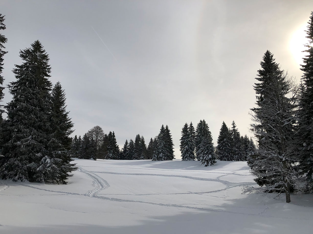 snow-st-cergue.jpg