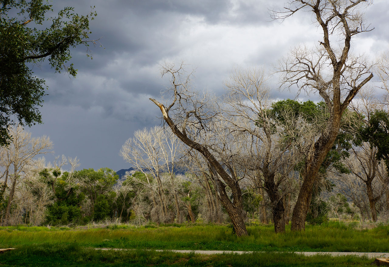 zapata-ranch.jpg