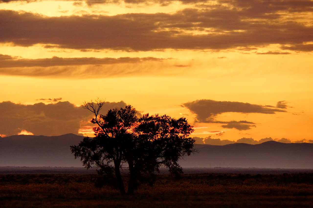 zapata-ranch-sunset.jpg