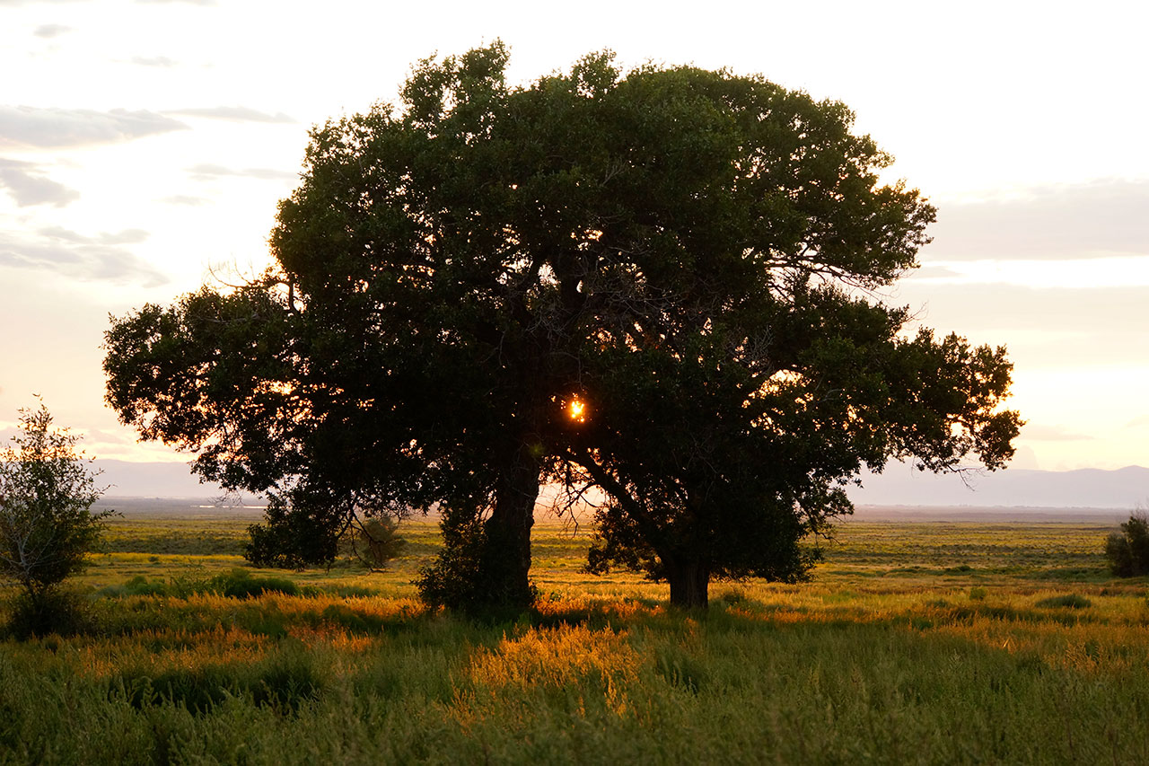 zapata-ranch-sunset2.jpg